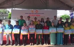 Phường Chánh Hưng phát động Tết trồng cây đời đời nhớ ơn Bác Hồ