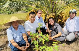 Chàng kỹ sư IT rời Singapore về Đồng Tháp khởi nghiệp với vườn "Chà là Nữ hoàng" độc lạ giữa miền Tây