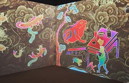 Kể chuyện di sản Việt Nam bằng công nghệ 3D mapping