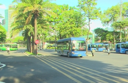 TP. Hồ Chí Minh miễn phí vé trên 134 tuyến xe buýt nội tỉnh