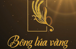 Chắp cánh Bông Lúa Vàng: Quán quân Thành Trường và những khó khăn áp lực khi làm nghề