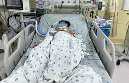 Ba chị em bị ngộ độc sau khi ăn thịt chuột đồng nướng