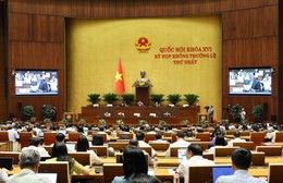 Ngày 11/8, Quốc hội thảo luận dự án Luật Phát triển đô thị
