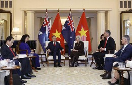 Tổng Bí thư, Chủ tịch nước Tô Lâm hội kiến Toàn quyền Australia