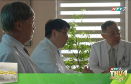Rừng vàng - 21g thứ Tư (12/8) trên HTV7