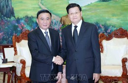 Thường trực Ban Bí thư Trần Cẩm Tú hội kiến Tổng Bí thư, Chủ tịch nước Lào