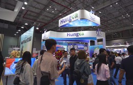 Xuất khẩu đạt gần 6,9 tỷ USD: Thủy sản Việt Nam tăng tốc trong cuộc đua nâng cao giá trị