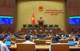 Đại biểu Quốc hội đề nghị bảo đảm sinh kế người dân sau thu hồi đất