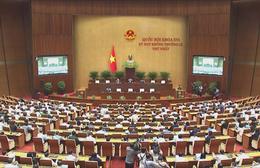 Quốc hội nghe báo cáo tại hội trường 2 dự thảo luật