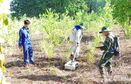 Ứng dụng công nghệ vào công tác tìm kiếm, quy tập