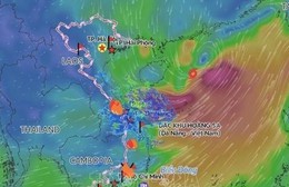 Bão số 5 không thay đổi cường độ, hướng về vùng biển phía Đông Bắc khu vực Bắc Biển Đông
