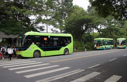 Tăng cường xe buýt phục vụ sinh viên tại Đại học Quốc gia TP. Hồ Chí Minh