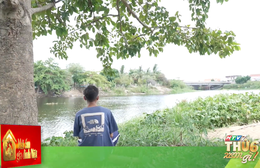 Mái ấm gia đình Việt - 20g thứ Sáu (11/9) trên HTV7
