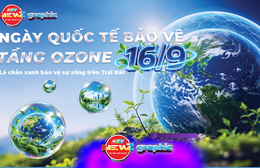 NewZgraphic: Ngày Quốc tế Bảo vệ tầng Ozone 16/9