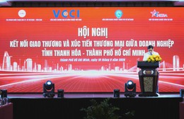 Thanh Hóa và TP. Hồ Chí Minh mở rộng kết nối, tìm kiếm cơ hội hợp tác đầu tư, thương mại