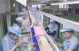TP. Hồ Chí Minh tháo gỡ khó khăn giúp doanh nghiệp nâng cao sức cạnh tranh xuất khẩu