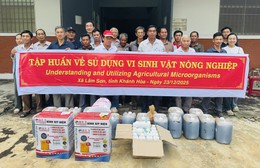 Từ phục hồi đến tự chủ: CJ và KOICA tiếp tục đồng hành cùng vùng nguyên liệu ớt Ninh Thuận