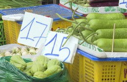 Giá rau chỉ tăng cục bộ, nguồn hàng từ Lâm Đồng dồi dào