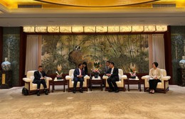 TP. Hồ Chí Minh và Thượng Hải (Trung Quốc): Nhiều điểm tương đồng về phát triển kinh tế
