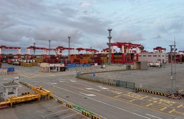 Khu bảo thuế tổng hợp đặc biệt Dương Sơn: Mô hình tham khảo sống động cho TP. Hồ Chí Minh