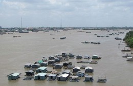 Cảnh báo lũ trên sông Đồng Nai