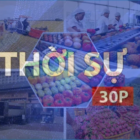 Thời sự 30p chiều: Đề nghị sớm triển khai gói tín dụng 150.000 tỷ đồng hỗ trợ sản xuất