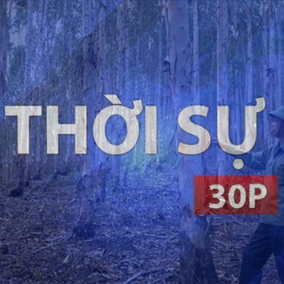 Thời sự 30p chiều: Việt Nam nhận khoảng 1.900 tỉ đồng để chi trả cho nỗ lực giảm phát thải từ rừng