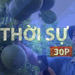 Thời sự 30p trưa: Trồng Bưởi bonsai - mô hình mới của nông dân tân uyên