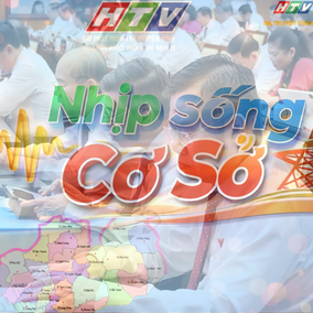 Nhịp sống cơ sở: HĐND TP. Hồ Chí Minh thông qua 53 nghị quyết chuyên đề, ưu tiên chăm lo an sinh xã hội
