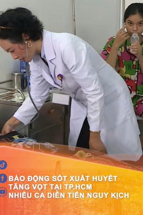 Báo động sốt xuất huyết tăng vọt tại TP.HCM