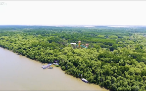 Vườn sao mai: Hành trình về "Vùng đất huyền thoại" của những chiến sĩ đặc công