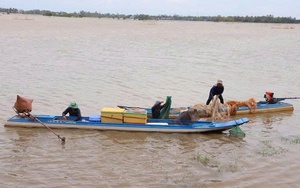 Tin lũ trên sông Cửu Long
