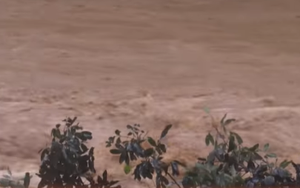 Bão số 12 kết hợp không khí lạnh, miền Trung mưa lớn hết tháng 10