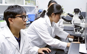 Bộ GD-ĐT đề xuất thêm vị trí 'giảng viên đồng cơ hữu' trong luật đại học sửa đổi