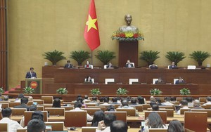 Quốc hội thảo luận kết quả giám sát về bảo vệ môi trường