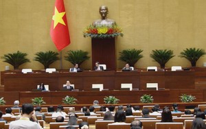 Quốc hội thảo luận nhiều giải pháp cấp bách bảo vệ môi trường