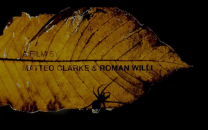 Liên hoan phim khoa học 2025: Thú vị chuyện khoa học với "chín-phút-rưỡi"