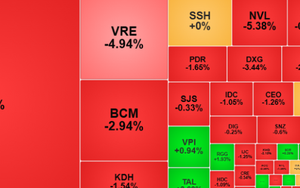 Phiên ngày 10/11, thị trường chứng khoán tiếp tục điều chỉnh