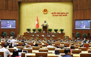 Ngày 11/11, Quốc hội tiếp tục thảo luận các dự án Luật
