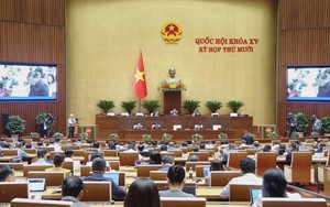 Đại biểu đề nghị quan tâm phát triển nền kinh tế hàng không tầm thấp