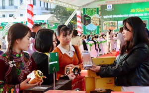 Khai mạc Ngày hội sản phẩm vùng đồng bào dân tộc thiểu số và miền núi phía Bắc