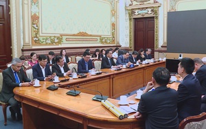 Phó Chủ tịch UBND TP. Hồ Chí Minh Nguyễn Lộc Hà tiếp đoàn lãnh đạo các tập đoàn của Trung Quốc