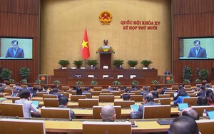 Quốc hội nghe tờ trình dự thảo Nghị quyết về cơ chế đặc thù cho công tác hội nhập