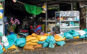 Triều cường TP. Hồ Chí Minh bắt đầu lên; yêu cầu không được xả lũ bất ngờ