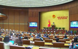 Chính xác và đồng bộ: Hướng tới hệ sinh thái dữ liệu thống kê hoàn chỉnh