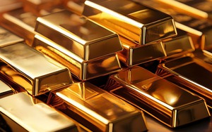 Thị trường ngày 24/11/2025: Vàng giữ mức ổn định, xăng dầu tiếp tục giảm