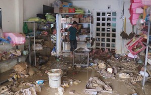 Khánh Hòa nỗ lực ổn định sau cơn lũ lụt lịch sử