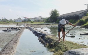 Mưa kéo dài, diêm dân trễ vụ muối