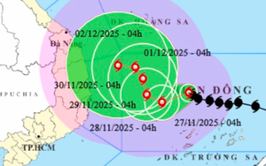 Bão số 15 mạnh lên, giật tới cấp 15, đổi hướng từ ngày 28/11
