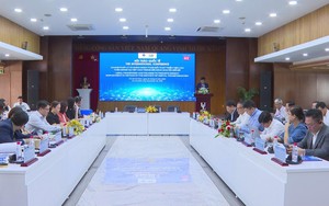 Vai trò pháp lý trong thúc đẩy việc làm trong thời chuyển đổi số